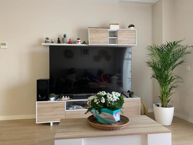 Bajo Con Jardin En Primera Linea De Playa Apartment Malaga Exterior photo